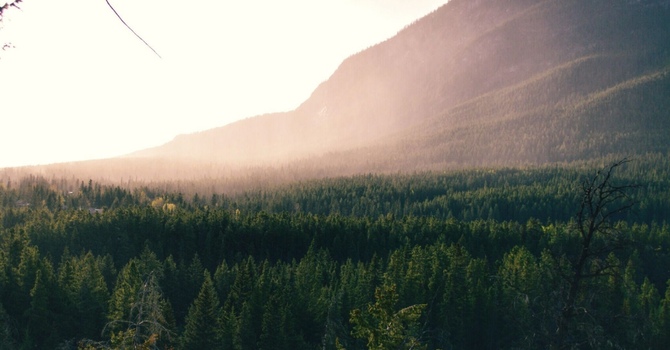 Natural Relief for Carpal Tunnel at Enhanced Chiropractic Relief image